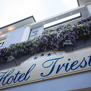 hotel-trieste-cesenatico.emilia-romagnahotels.net/